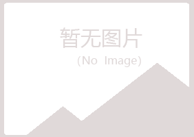 鹤岗南山如柏采矿有限公司